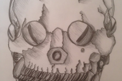 Kopf-Metamorphose 01