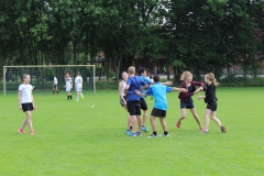 bild22