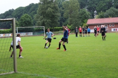 bild33