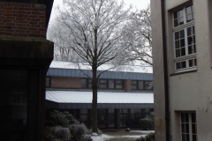 winter11_2017