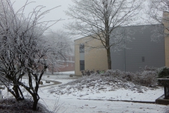 winter1_2017