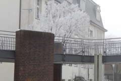 winter5_2017