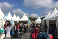 Foto 11.05.18, 10 44 31